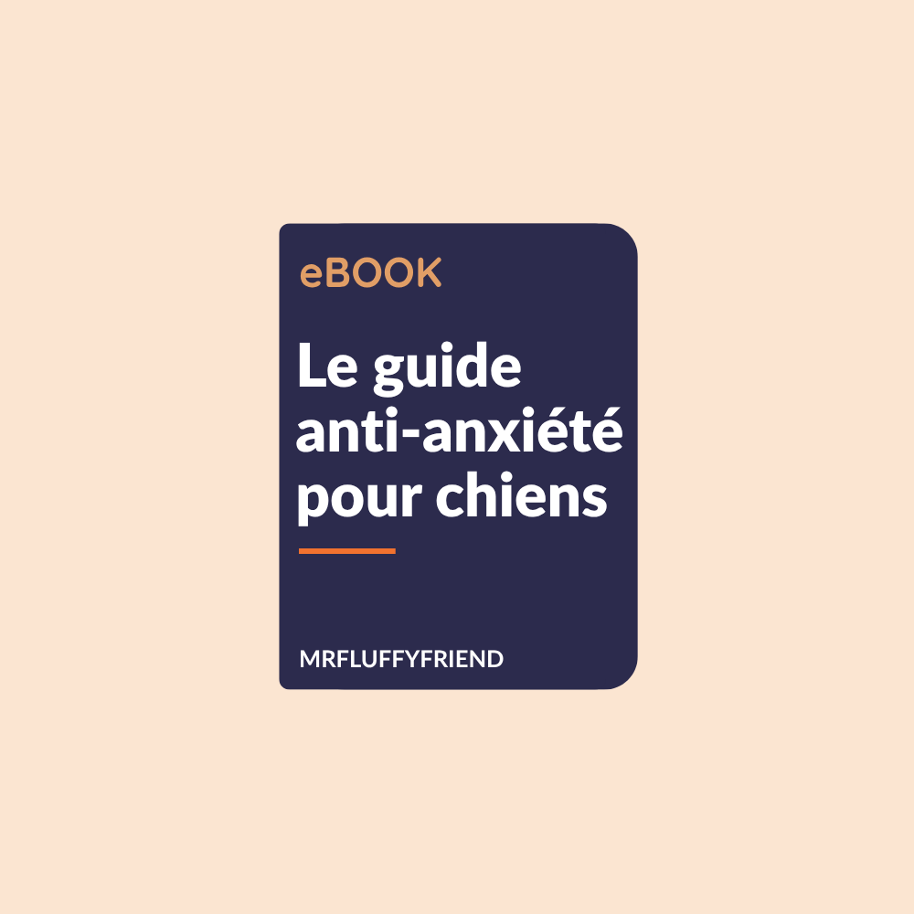 eBook - Le guide anti-anxiété pour chiens