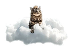 Pet on cloud image
