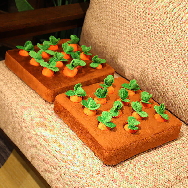 Deux coussins-jouets avec de jolies carottes orange à feuilles vertes sur un fond brun tout doux.